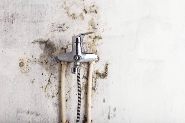 Best Health and Safety Mold Remediation in Muldrow, OK