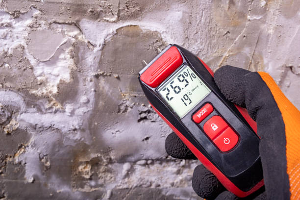 Best DIY Mold Remediation Support Services in Muldrow, OK