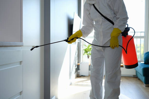  Muldrow, OK Mold Removal Pros