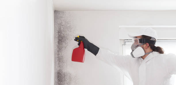 Best HVAC Mold Remediation in Muldrow, OK