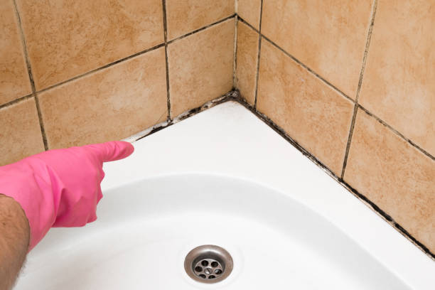 Best Mold Testing and Inspection Services in Muldrow, OK